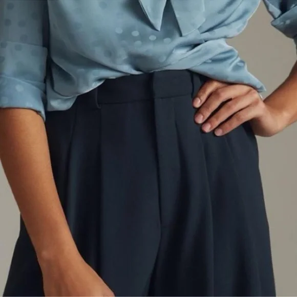 Favorite Daughter The Favorite Pleated High Rise Pants Trouser Anthropologie NWT